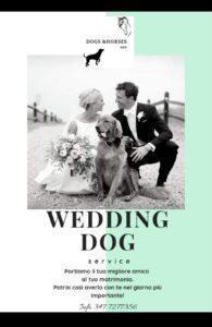 Wedding Dog Sitter